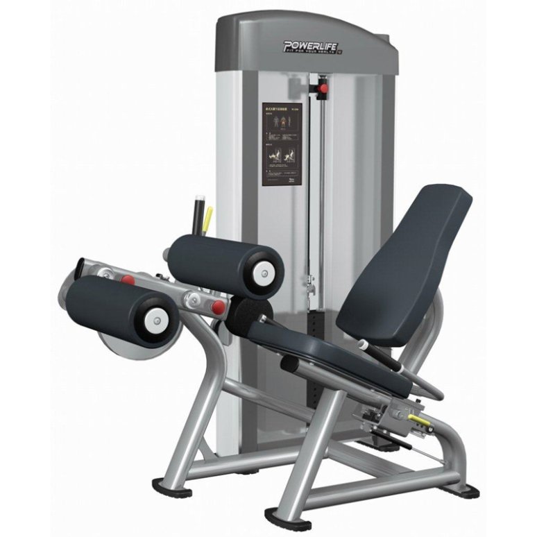 Relax Seated Leg Curl PL1206